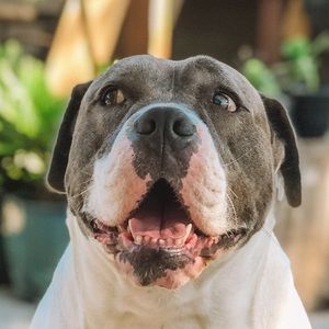 Meet your Posher, Ramon